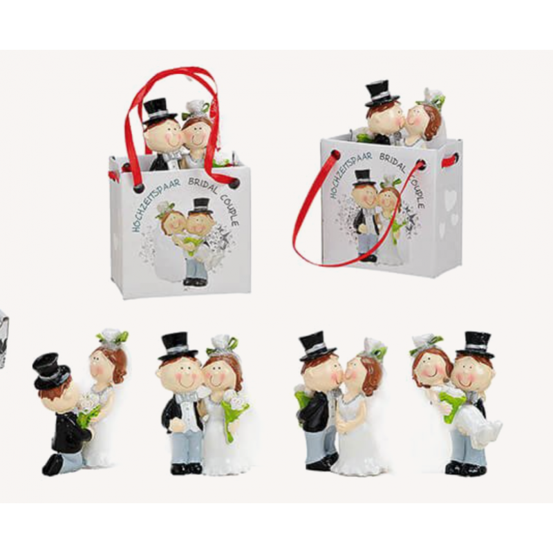 Wedding Couple in bag